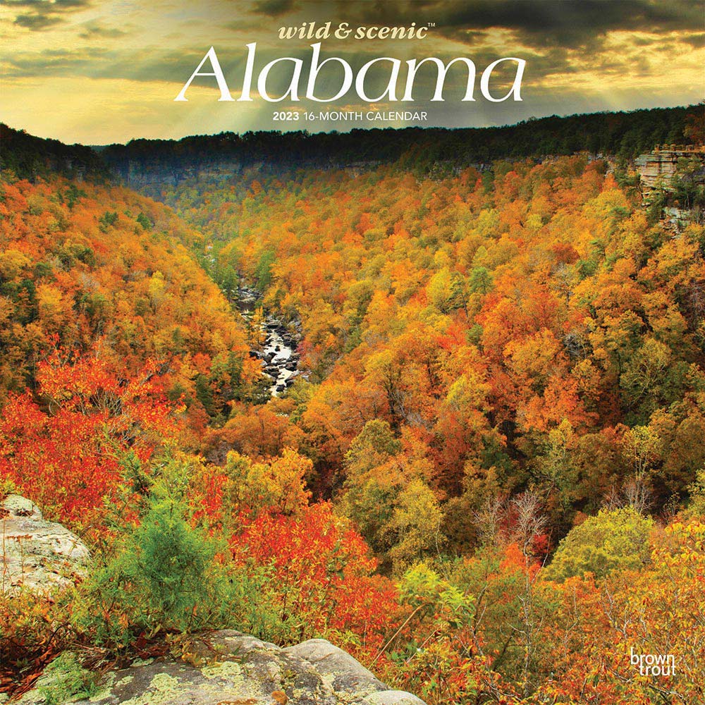 Alabama Wild & Scenic | 2023 12 x 24 Inch Monthly Square Wall Calendar | BrownTrout | USA United States of America Southeast State Nature
