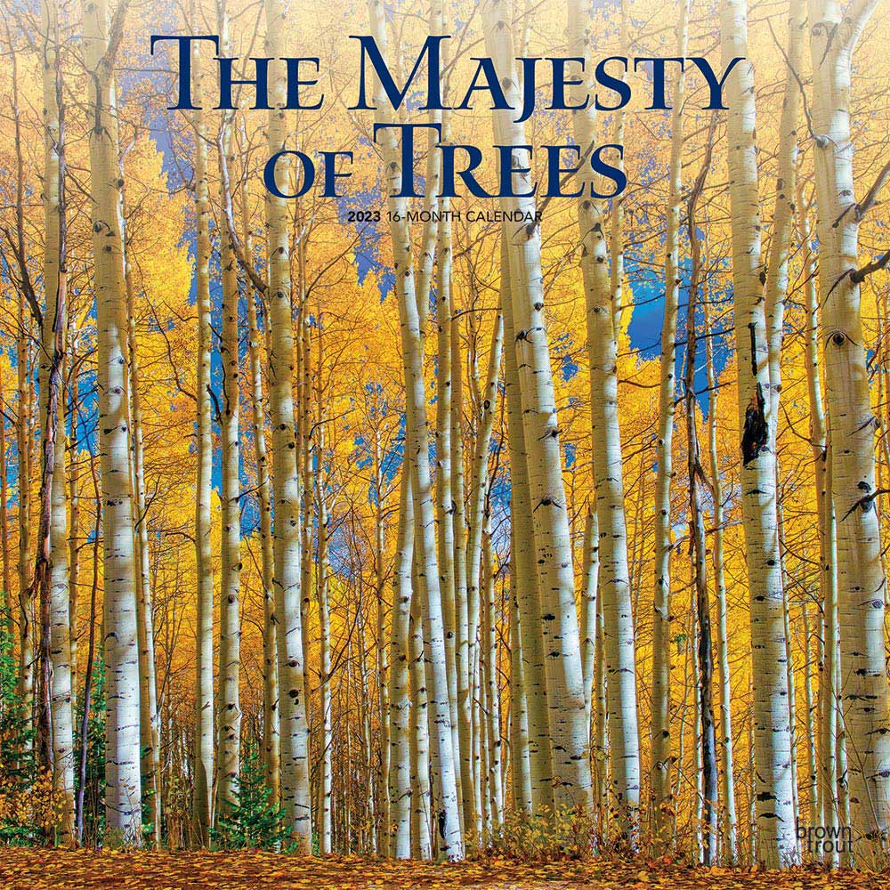 The Majesty of Trees | 2023 12 x 24 Inch Monthly Square Wall Calendar | BrownTrout | Nature Forests