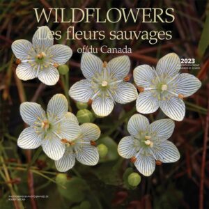 Wildflowers of Canada | 2023 12 x 24 Inch Monthly Square Wall Calendar | English/French Bilingual | Wyman Publishing | Floral Outdoor Plant