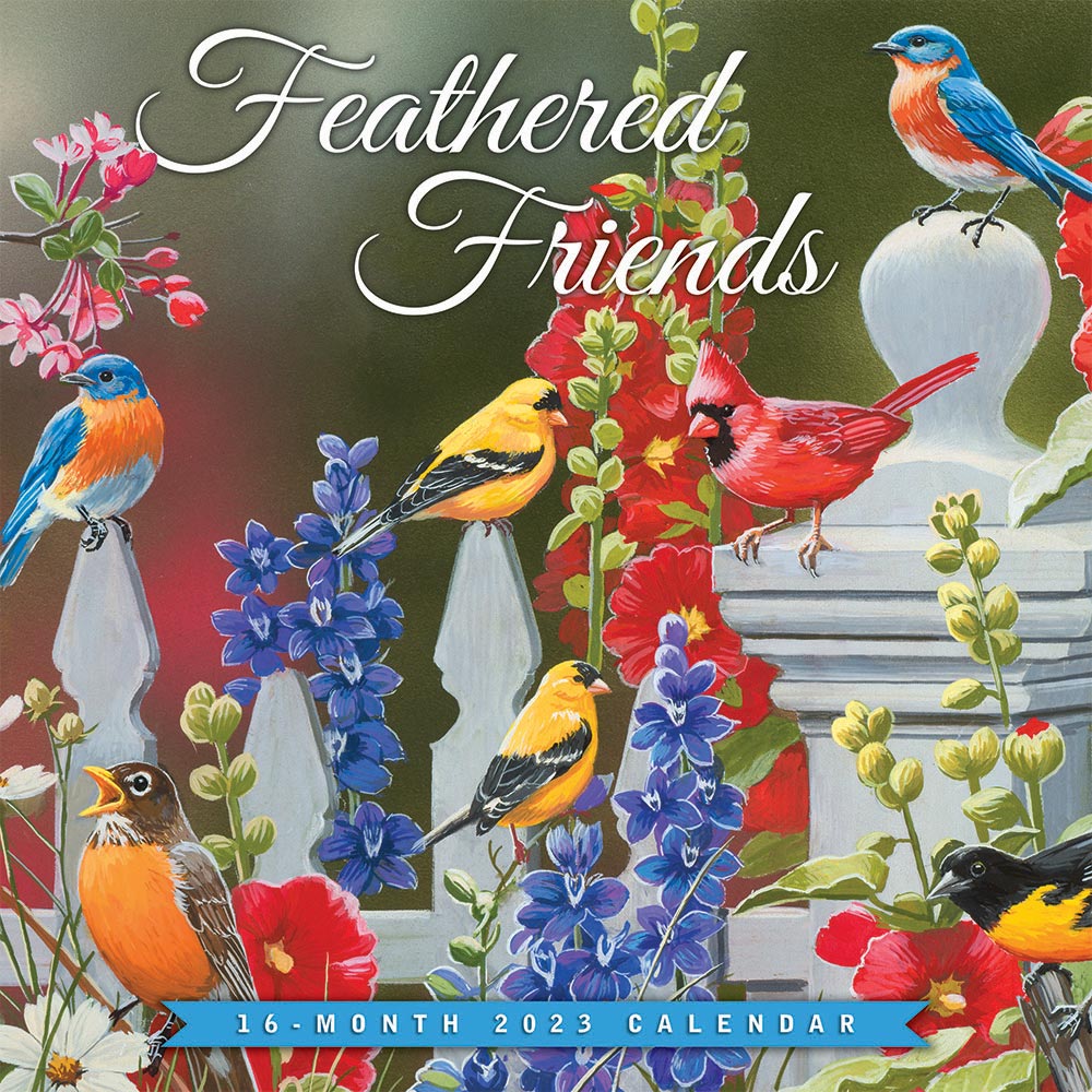 Feathered Friends | 2023 12 x 24 Inch Monthly Square Wall Calendar | Hopper Studios | Wildlife Animals