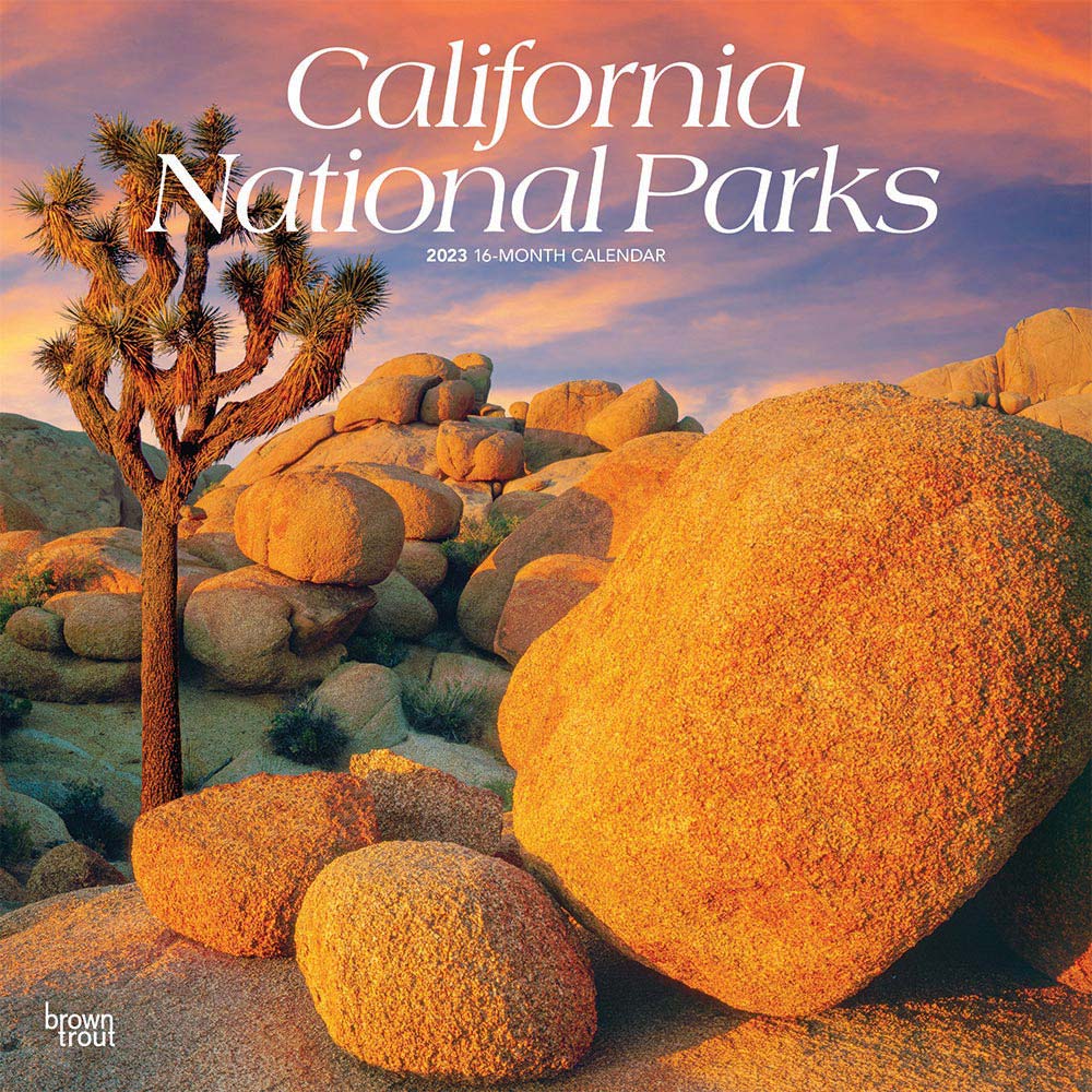 California National Parks | 2023 12 x 24 Inch Monthly Square Wall Calendar | BrownTrout | USA United States of America Pacific West State Nature