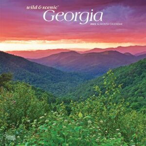 Georgia Wild & Scenic | 2023 12 x 24 Inch Monthly Square Wall Calendar | BrownTrout | USA United States of America Southeast State Nature