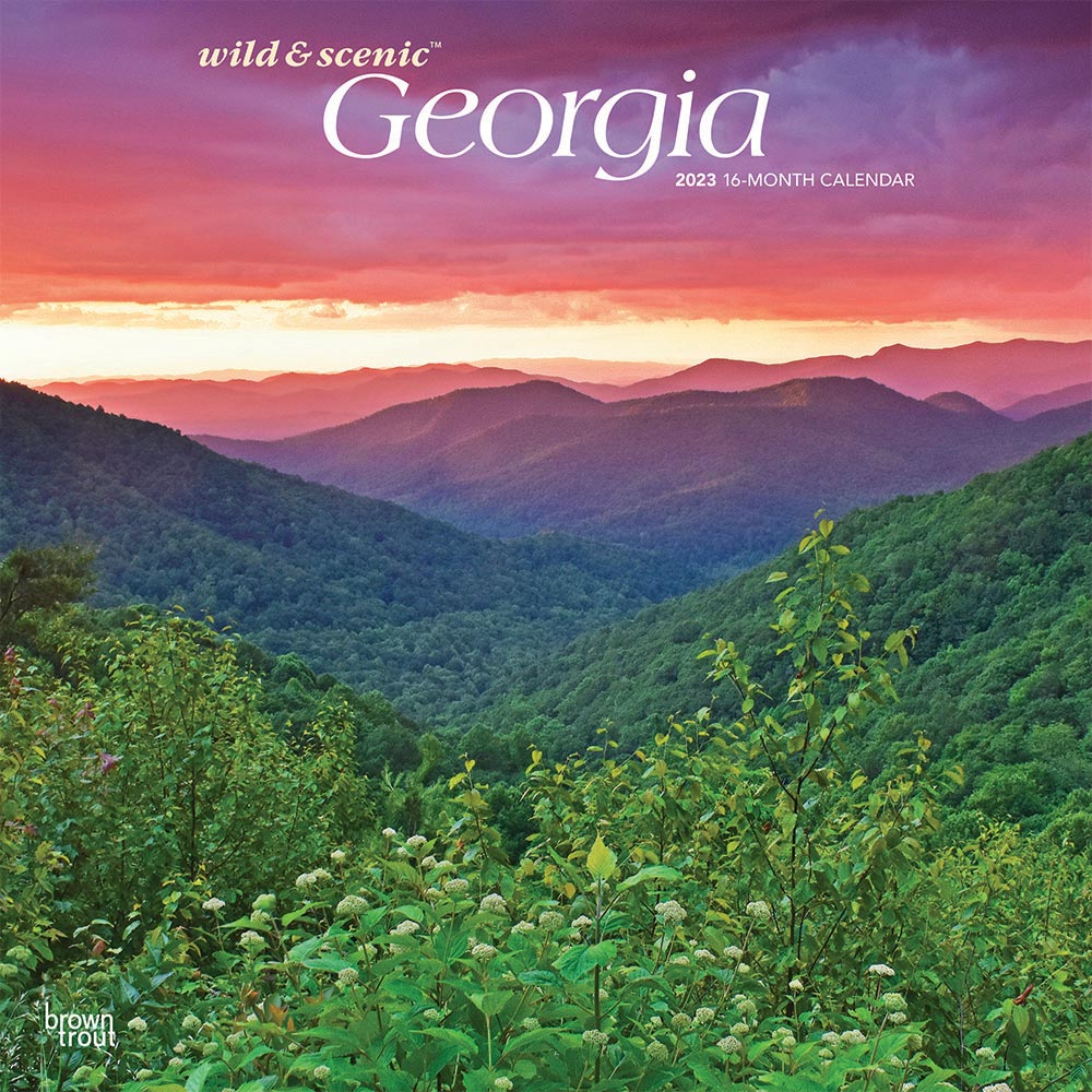 Georgia Wild & Scenic | 2023 12 x 24 Inch Monthly Square Wall Calendar | BrownTrout | USA United States of America Southeast State Nature