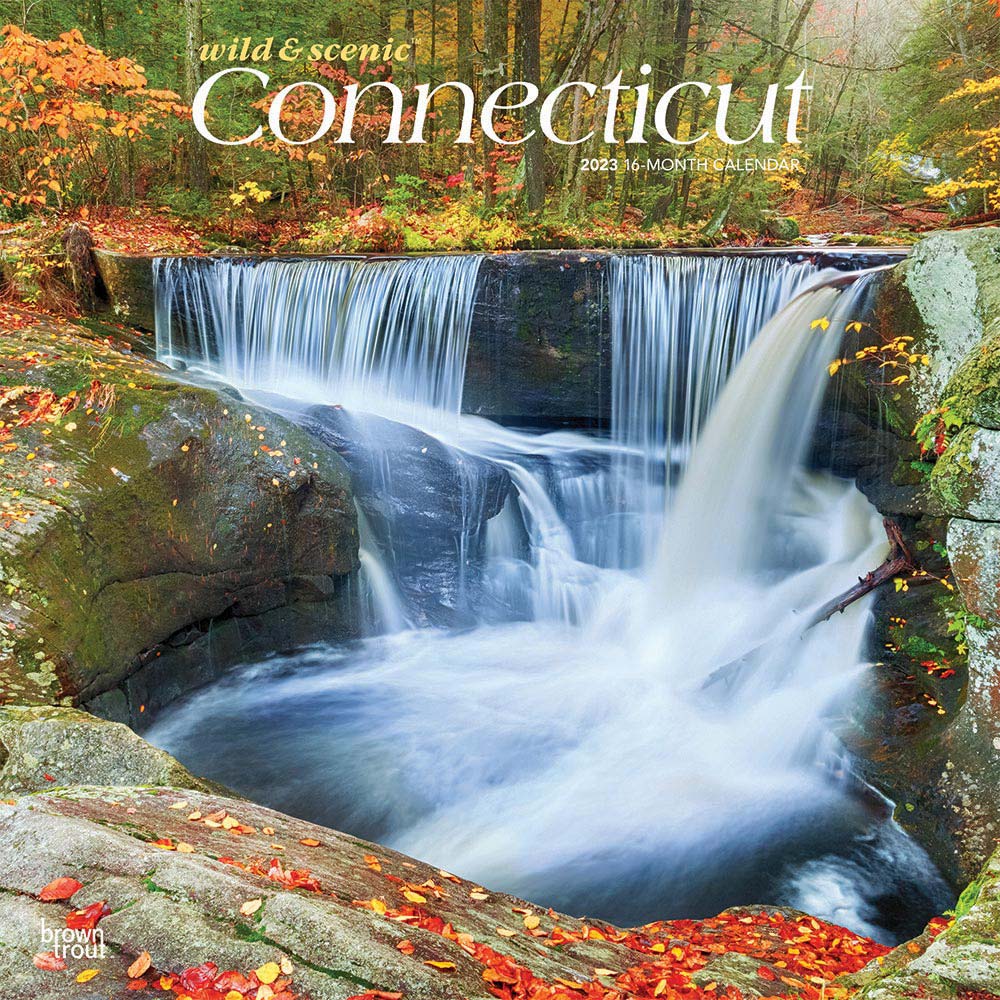 Connecticut Wild & Scenic | 2023 12 x 24 Inch Monthly Square Wall Calendar | BrownTrout | USA United States of America Northeast State Nature