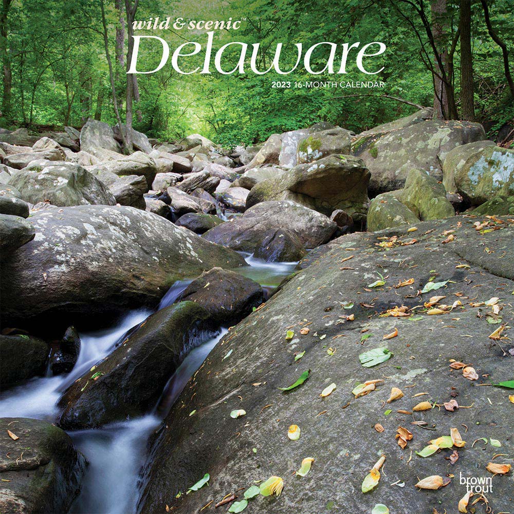 Delaware Wild & Scenic | 2023 12 x 24 Inch Monthly Square Wall Calendar | BrownTrout | USA United States of America Southeast State Nature
