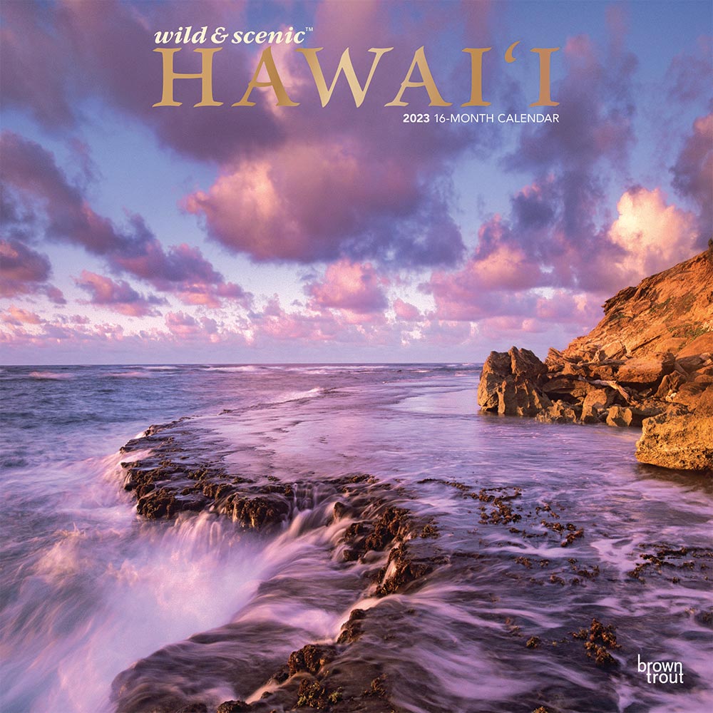 Hawaii Wild & Scenic | 2023 12 x 24 Inch Monthly Square Wall Calendar | Foil Stamped Cover | BrownTrout | USA United States of America Noncontiguous State Nature