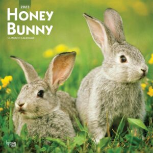 Honey Bunny | 2023 12 x 24 Inch Monthly Square Wall Calendar | BrownTrout | Domestic Small Cute Animals