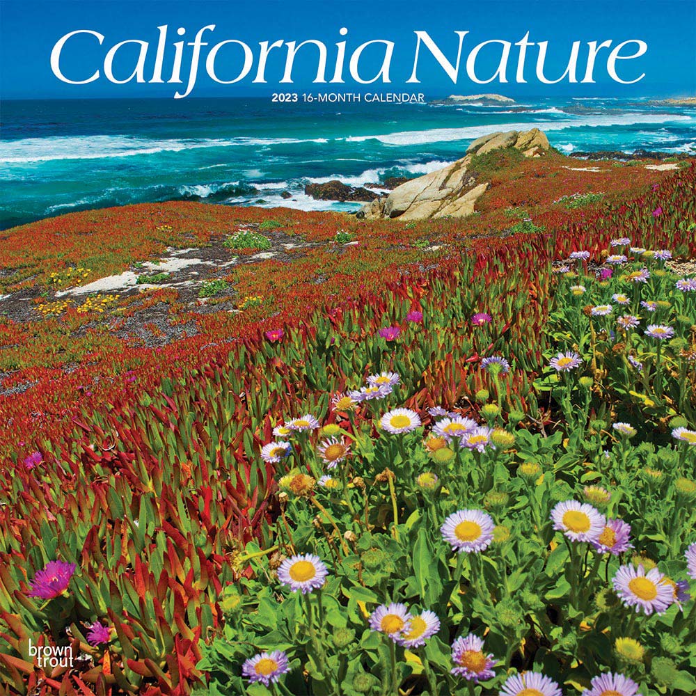 California Nature | 2023 12 x 24 Inch Monthly Square Wall Calendar | BrownTrout | USA United States of America Pacific West State