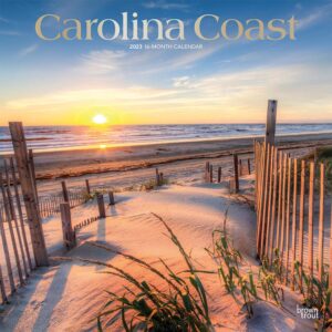 Carolina Coast | 2023 12 x 24 Inch Monthly Square Wall Calendar | Foil Stamped Cover | BrownTrout | USA United States of America Southeast State Nature