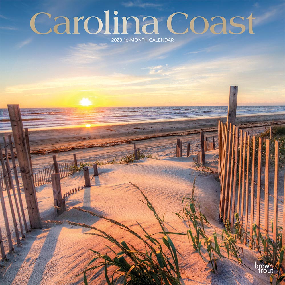 Carolina Coast | 2023 12 x 24 Inch Monthly Square Wall Calendar | Foil Stamped Cover | BrownTrout | USA United States of America Southeast State Nature