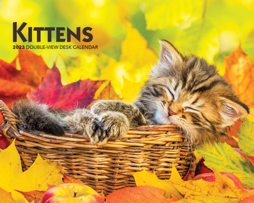 Kittens 2023 Double View Easel Desk Calendar Discovery Day Browntrout