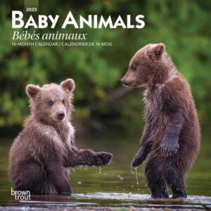 Baby Animals | Bebes Animaux | 2023 7 x 14 Inch Monthly Mini Wall Calendar | English/French Bilingual | BrownTrout | Domestic Pets Chicken Small Cute