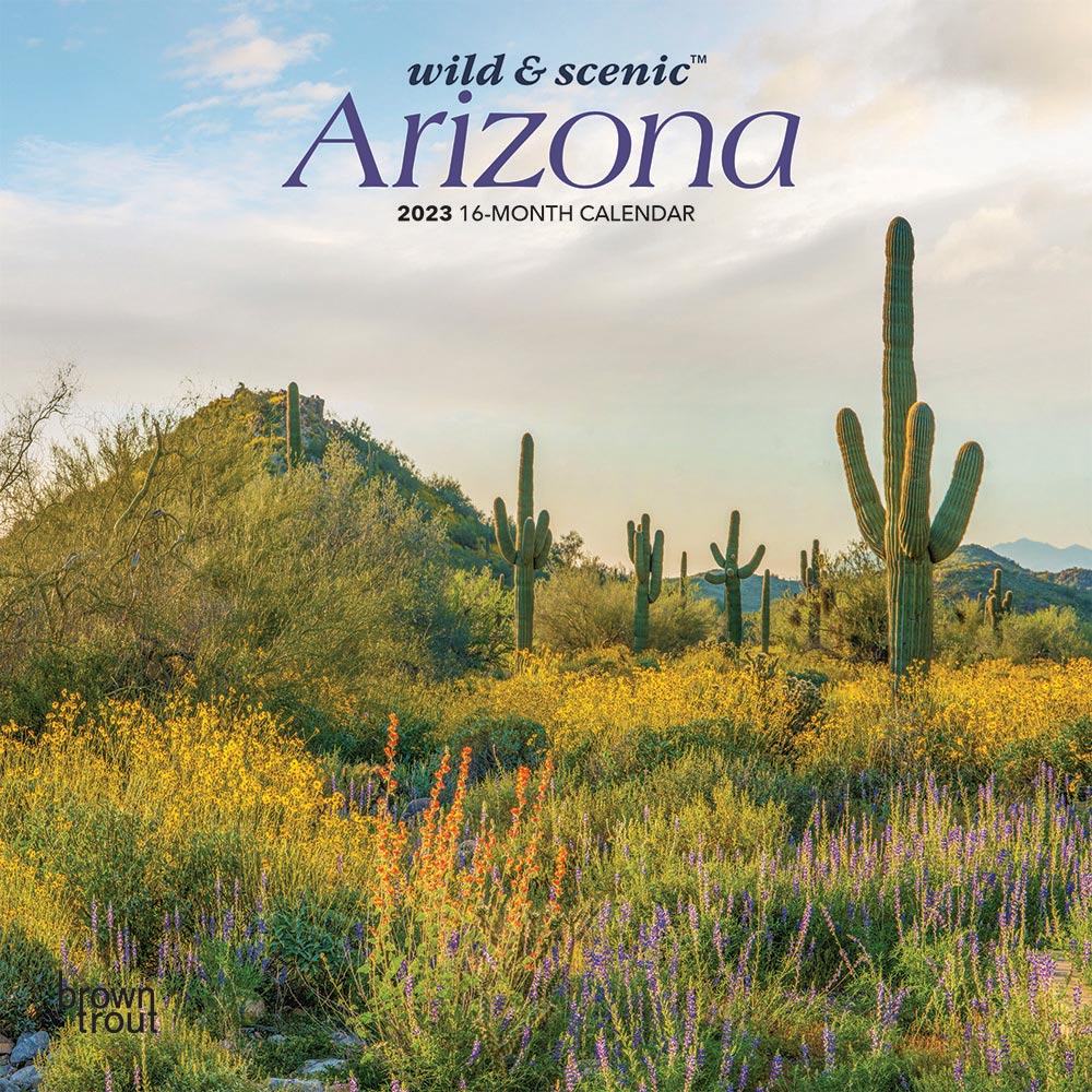Arizona Wild & Scenic | 2023 7 x 14 Inch Monthly Mini Wall Calendar | BrownTrout | USA United States of America Southwest State Nature