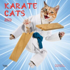 Karate Cats | 2023 12 x 24 Inch Monthly Square Wall Calendar | BrownTrout | Pets Funny Animals Feline