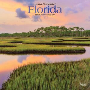 Florida Wild & Scenic | 2023 12 x 24 Inch Monthly Square Wall Calendar | Foil Stamped Cover | BrownTrout | USA United States of America Southeast State Nature