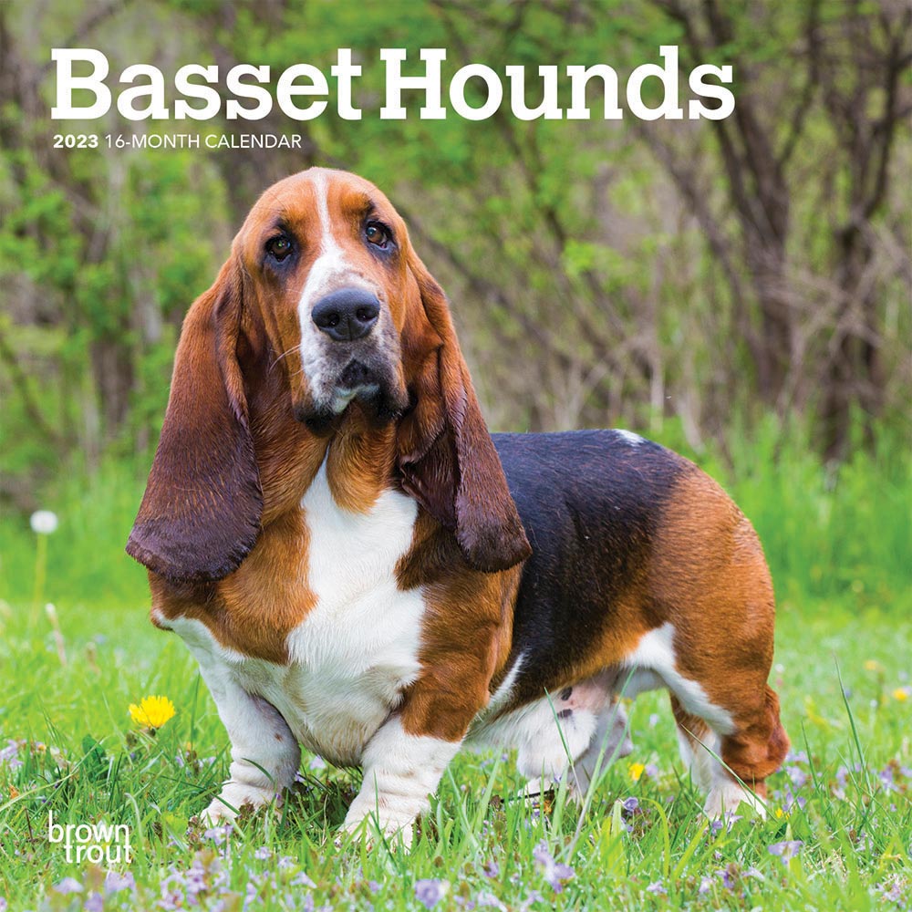 Basset Hounds 2023 Mini Wall Calendar DogDays Browntrout Basset Hounds 2023 Mini Wall Calendar DogDays Browntrout