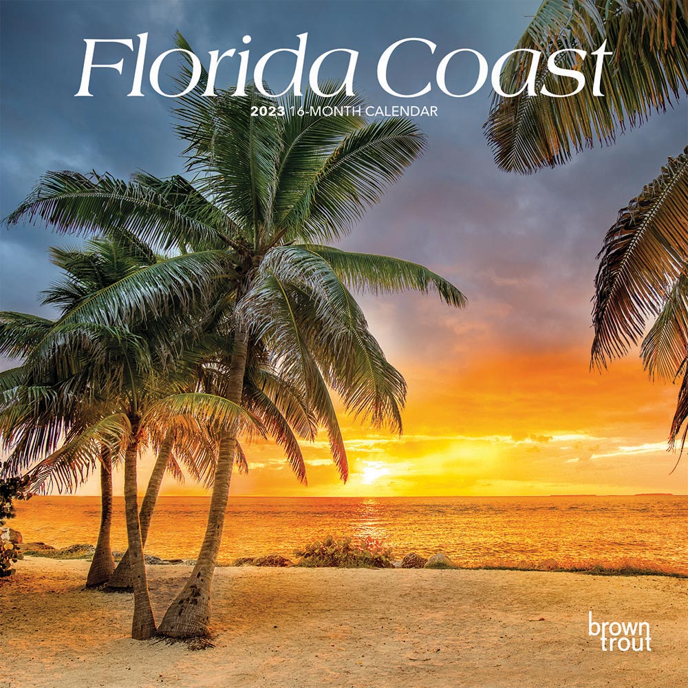 Florida Coast | 2023 7 x 14 Inch Monthly Mini Wall Calendar | BrownTrout | USA United States of America Southeast State Nature
