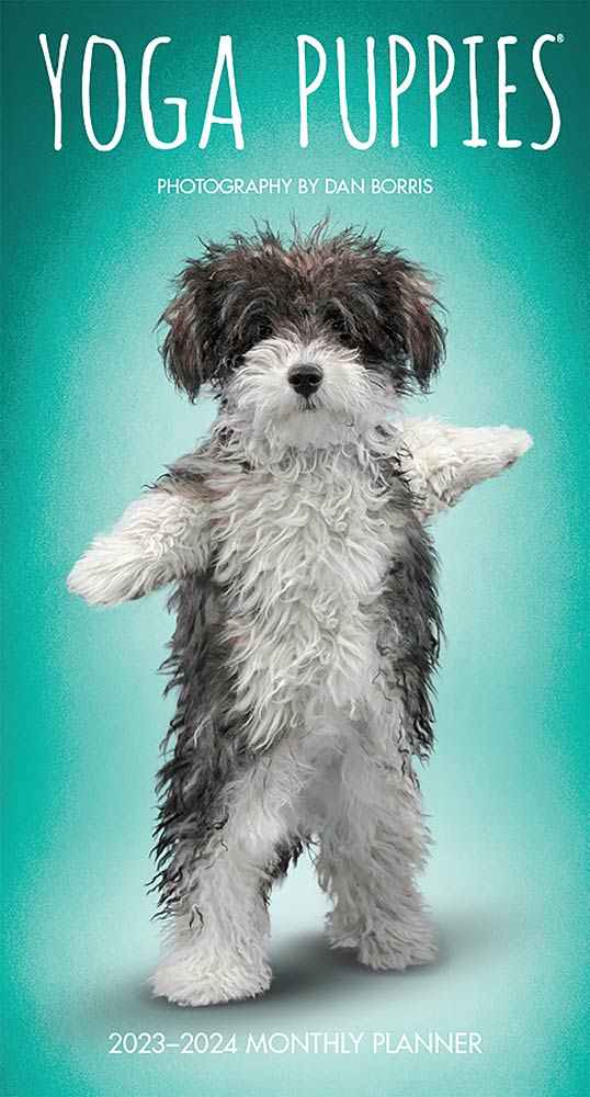 Yoga Puppies OFFICIAL | 2023-2024 3.5 x 6.5 Inch Two Year Monthly Pocket Planner | BrownTrout | Animals Humor Puppy Canine Pets