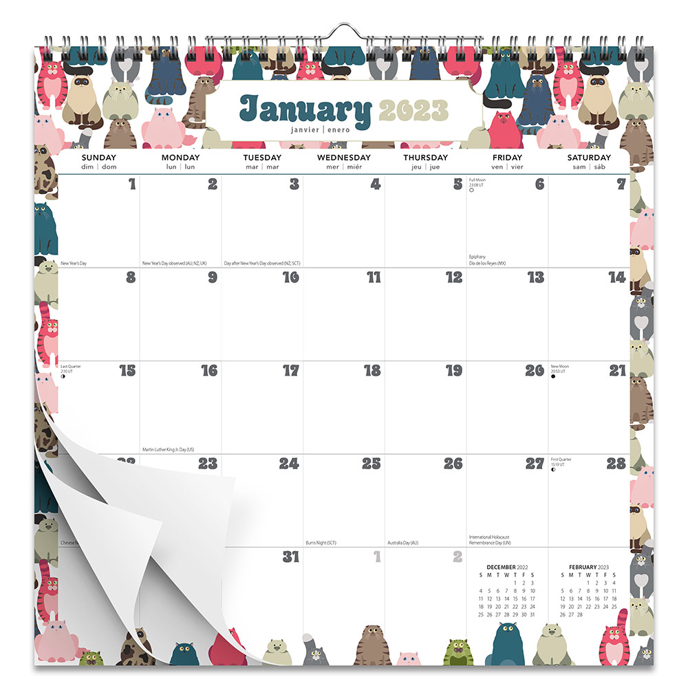 Kitty Carnival | 2023 12 x 12 Inch 18 Months Monthly Square Wire-O Calendar | Sticker Sheet | July 2022 - December 2023 | BrownTrout | Cats Feline Pets