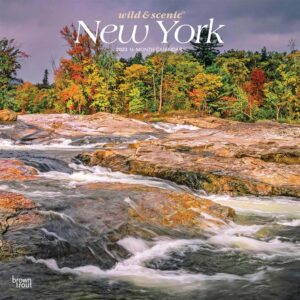 New York Wild & Scenic | 2023 12 x 24 Inch Monthly Square Wall Calendar | BrownTrout | USA United States of America Northeast State Nature