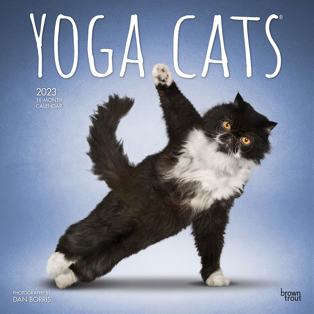 Yoga Cats OFFICIAL | 2023 12 x 24 Inch Monthly Square Wall Calendar | BrownTrout | Animals Humor Pets