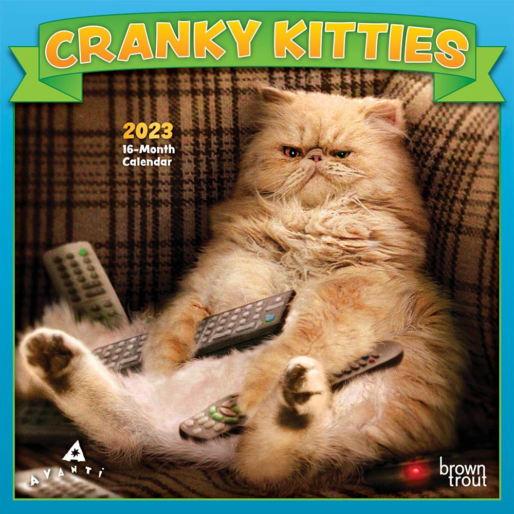 Avanti Cranky Kitties | 2023 7 x 14 Inch Monthly Mini Wall Calendar | BrownTrout | Angry Cat Feline
