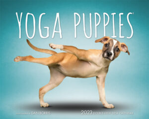 Yoga Puppies OFFICIAL | 2023 7.5 x 6 Inch Monthly Double-View Easel Desk Calendar | BrownTrout | Animals Humor Puppy Pets