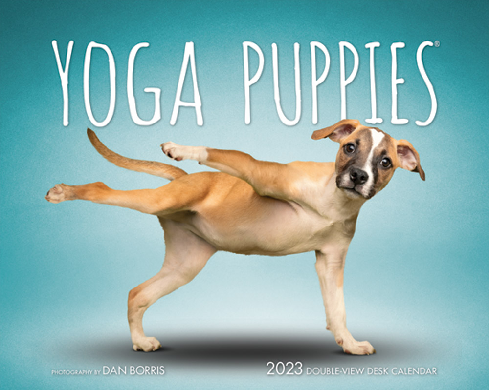 Yoga Puppies OFFICIAL | 2023 7.5 x 6 Inch Monthly Double-View Easel Desk Calendar | BrownTrout | Animals Humor Puppy Pets