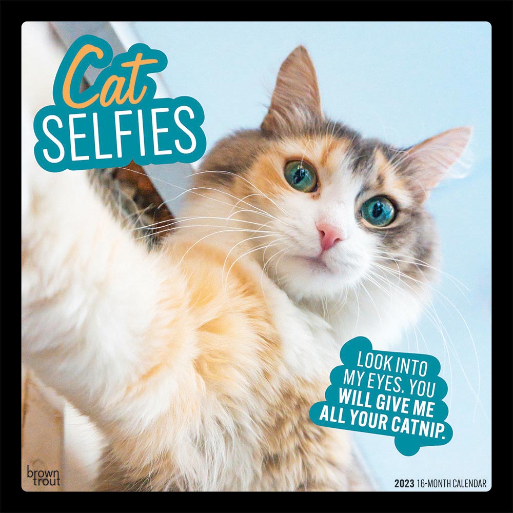Cat Selfies | 2023 12 x 24 Inch Monthly Square Wall Calendar | BrownTrout | Pet Humor Kitten Feline