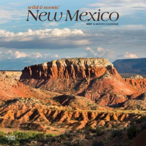 New Mexico Wild & Scenic | 2023 12 x 24 Inch Monthly Square Wall Calendar | BrownTrout | USA United States of America Southwest State Nature