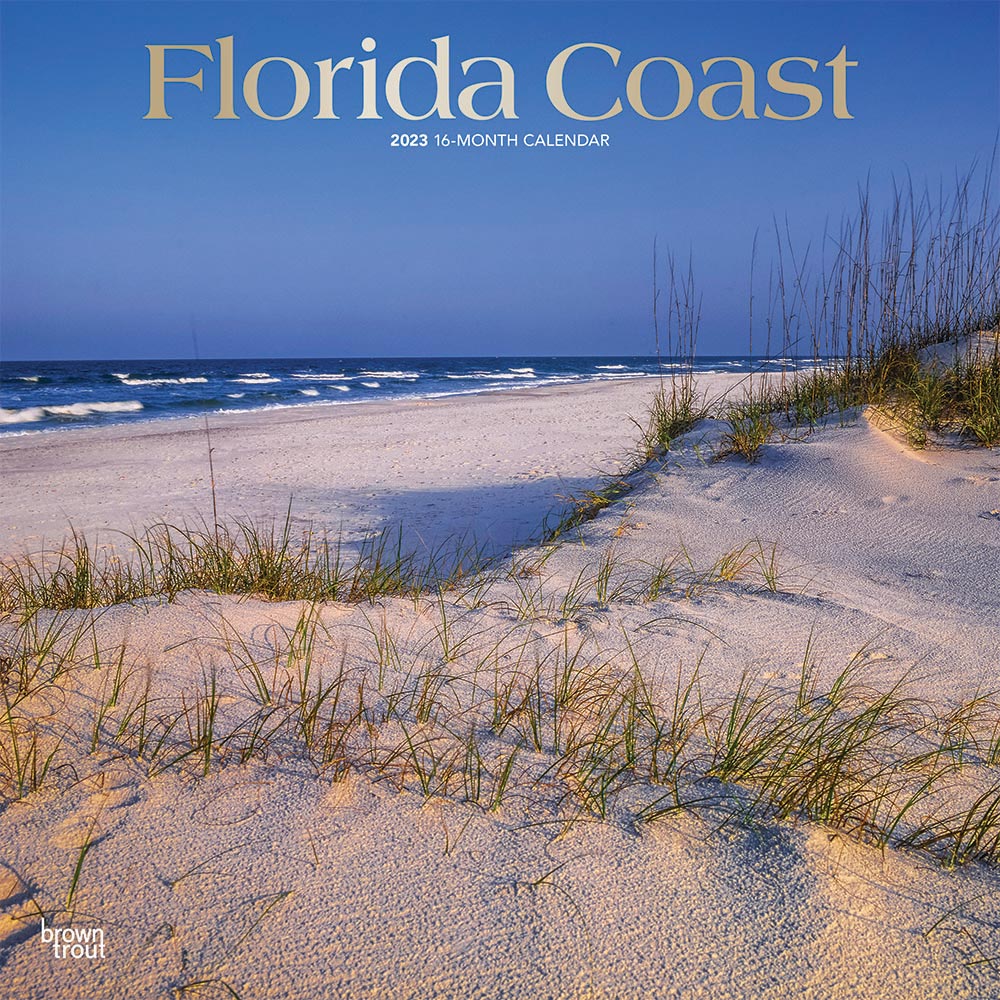 Florida Coast | 2023 12 x 24 Inch Monthly Square Wall Calendar | Foil Stamped Cover | BrownTrout | USA United States of America Southeast State Nature