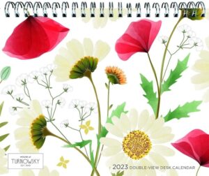 House of Turnowsky | 2023 7.5 x 6 Inch Monthly Double-View Easel Desk Calendar | BrownTrout | Stationery Elegant Exclusive