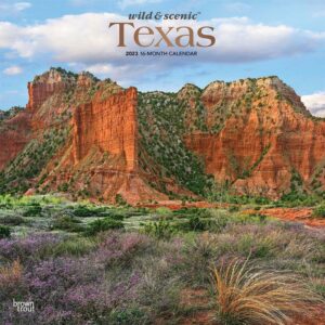 Texas Wild & Scenic | 2023 12 x 24 Inch Monthly Square Wall Calendar | Foil Stamped Cover | BrownTrout | USA United States of America Southwest State Nature