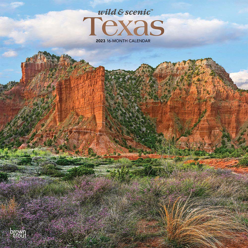 Texas Wild & Scenic | 2023 12 x 24 Inch Monthly Square Wall Calendar | Foil Stamped Cover | BrownTrout | USA United States of America Southwest State Nature