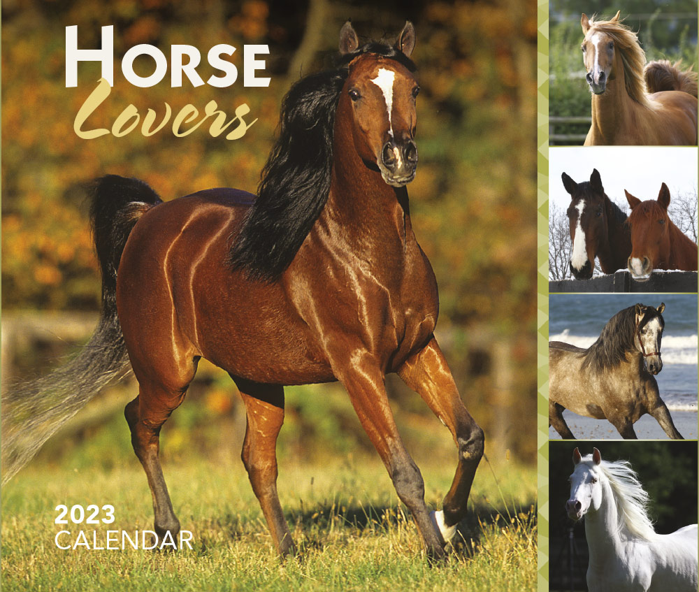 Horse Lovers | 2023 6.1 x 5.1 Inch Daily Desktop Box Calendar | New Page Every Day | BrownTrout | Animals Horses Equestrian