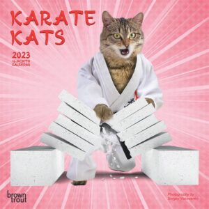 Karate Cats | 2023 7 x 14 Inch Monthly Mini Wall Calendar | BrownTrout | Pets Funny Animals Feline