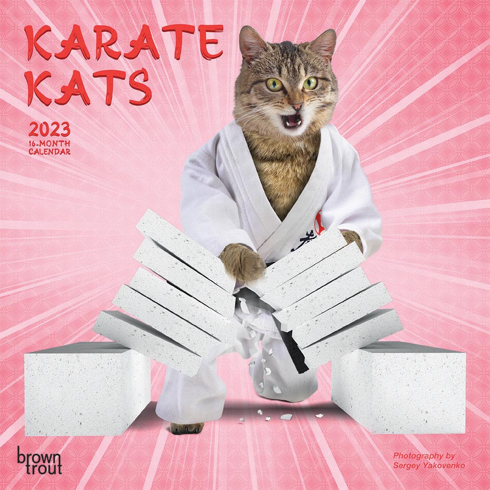 Karate Cats | 2023 7 x 14 Inch Monthly Mini Wall Calendar | BrownTrout | Pets Funny Animals Feline