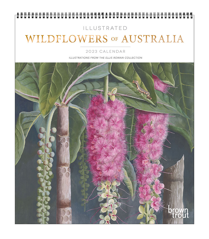 Illustrated Wildflowers of Australia | 2023 14 x 12 Inch Monthly Deluxe Vertical Wall Calendar | BrownTrout | Nature Floral