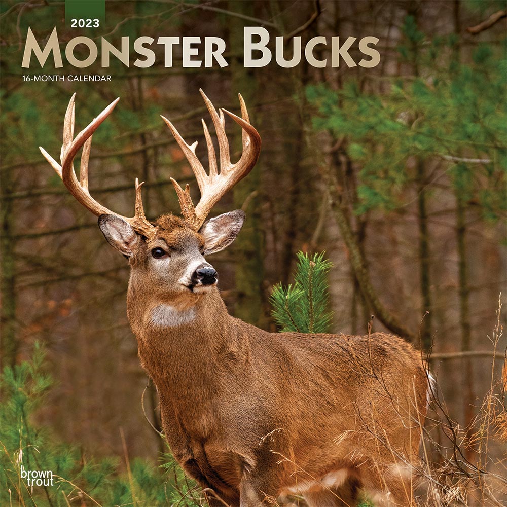Monster Bucks | 2023 12 x 24 Inch Monthly Square Wall Calendar | Foil Stamped Cover | BrownTrout | Wildlife Animals Hunting