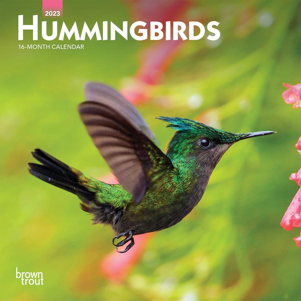 Hummingbirds | 2023 7 x 14 Inch Monthly Mini Wall Calendar | BrownTrout | Animals Wildlife Nature