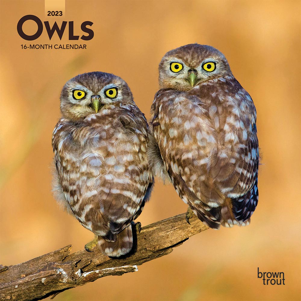 Owls | 2023 7 x 14 Inch Monthly Mini Wall Calendar | BrownTrout | Wildlife Animals Birds