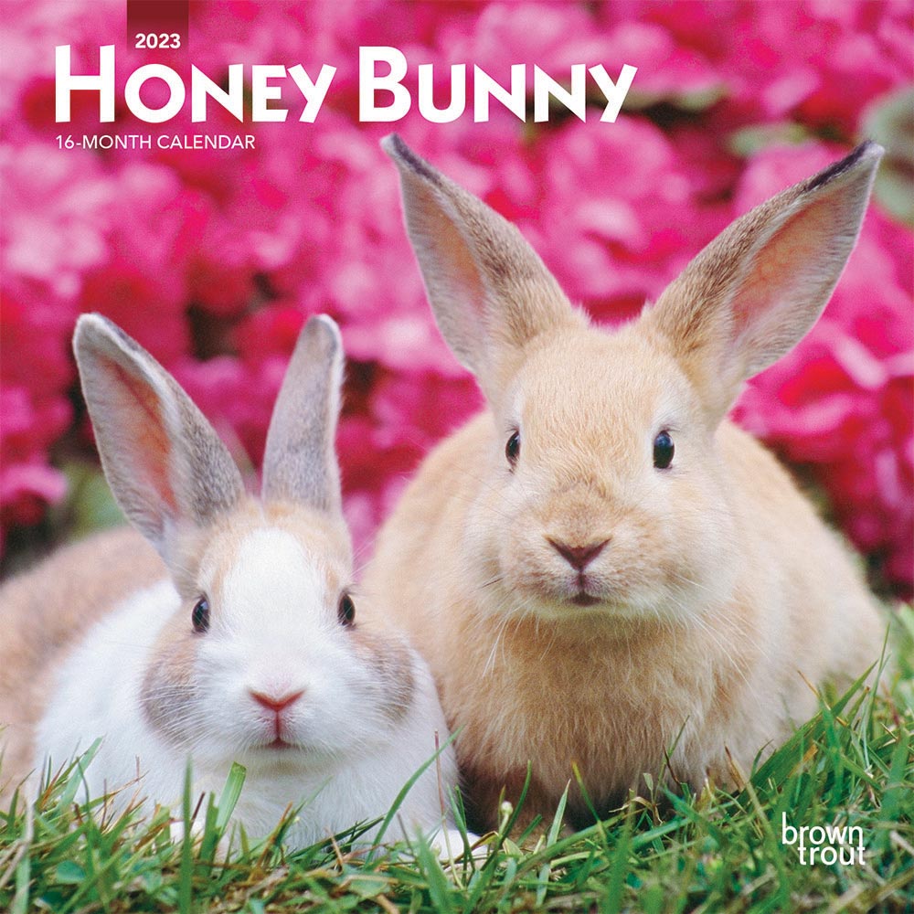 Honey Bunny | 2023 7 x 14 Inch Monthly Mini Wall Calendar | BrownTrout | Domestic Small Cute Animals