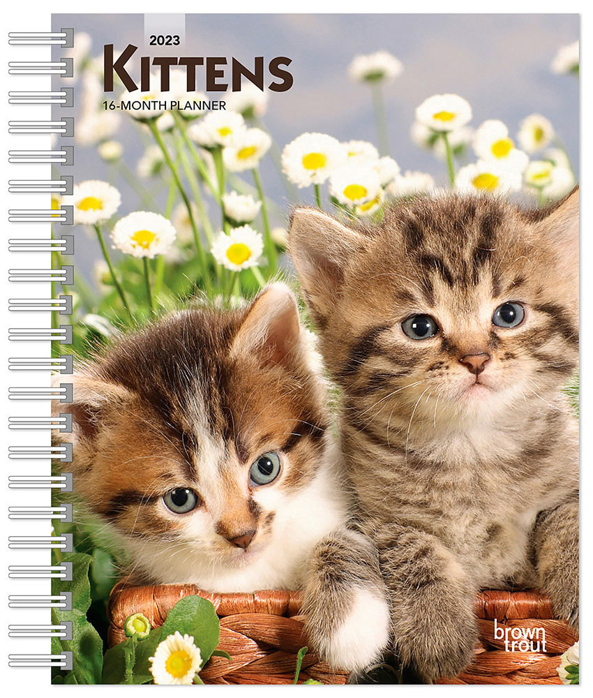 Kittens | 2023 6 x 7.75 Inch Spiral-Bound Wire-O Weekly Engagement Planner Calendar | New Full-Color Image Every Week | BrownTrout | Animals Cats Pets