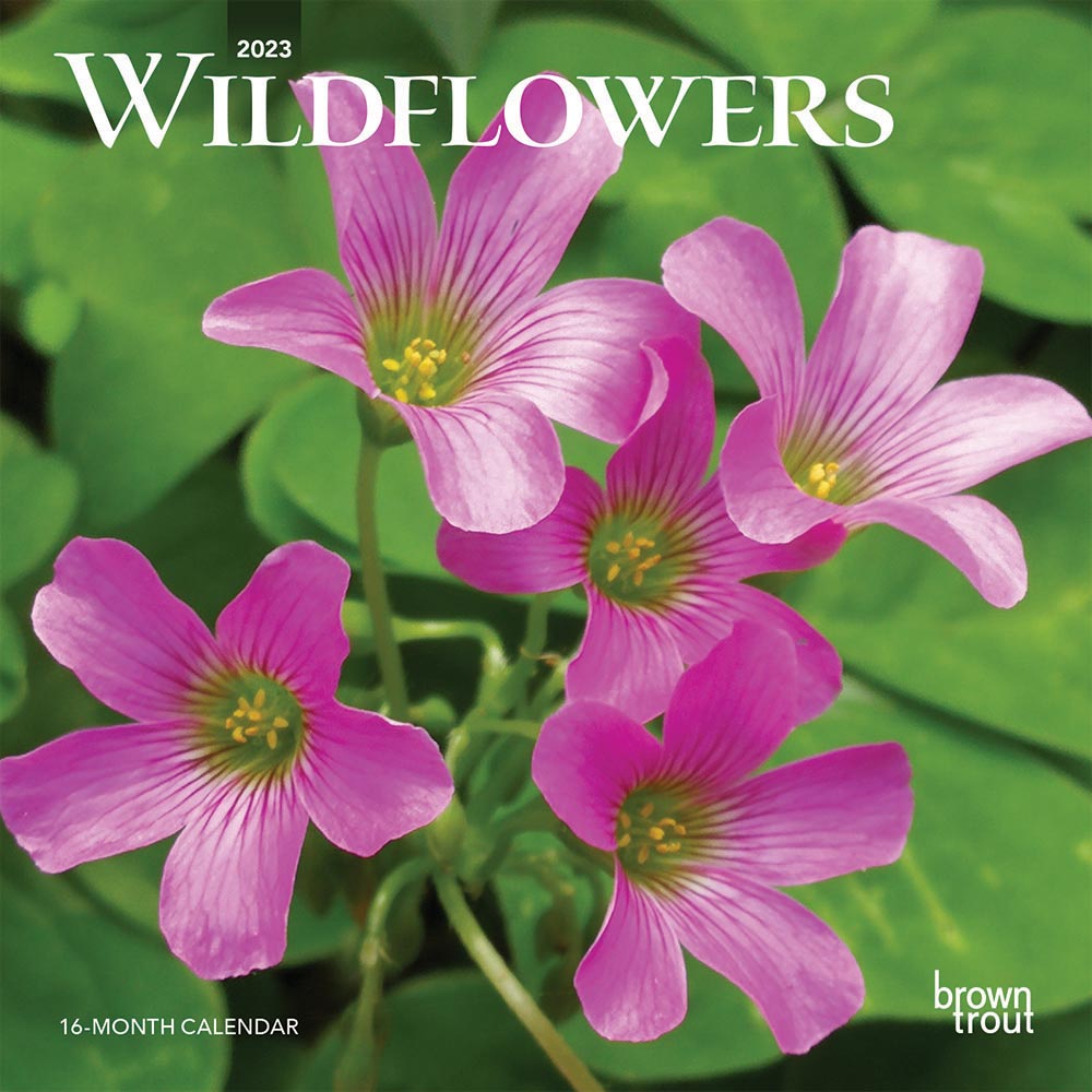 Wildflowers | 2023 7 x 14 Inch Monthly Mini Wall Calendar | BrownTrout | Flower Outdoor Plant