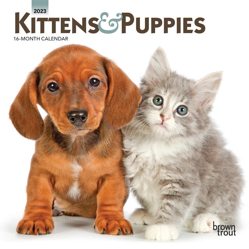 Kittens & Puppies | 2023 7 x 14 Inch Monthly Mini Wall Calendar | BrownTrout | Animals Cute Dogs Cats
