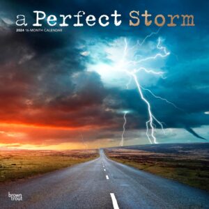 A Perfect Storm | 2024 12 x 24 Inch Monthly Square Wall Calendar | Foil Stamped Cover | BrownTrout | Worldwide Weather