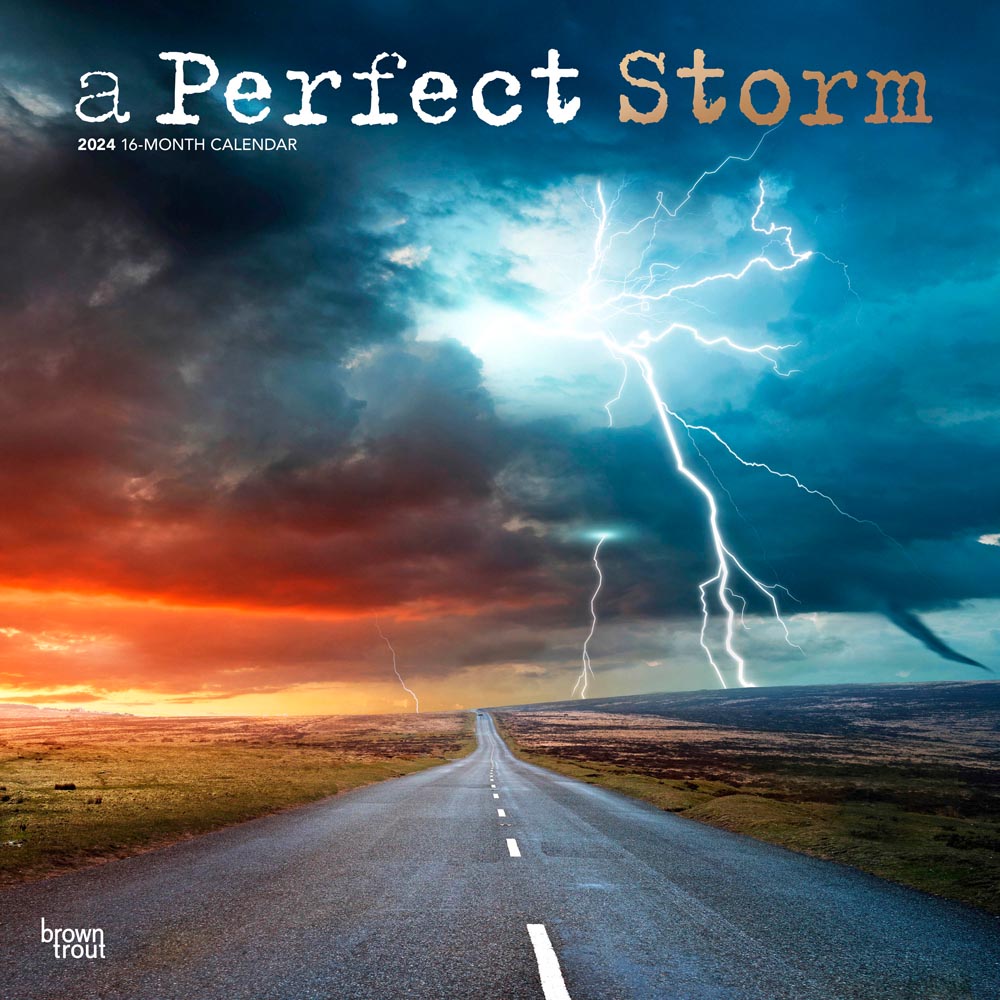 A Perfect Storm | 2024 12 x 24 Inch Monthly Square Wall Calendar | Foil Stamped Cover | BrownTrout | Worldwide Weather