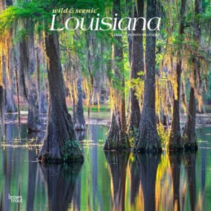 Louisiana Wild & Scenic | 2024 12 x 24 Inch Monthly Square Wall Calendar | BrownTrout | USA United States of America Southeast State Nature