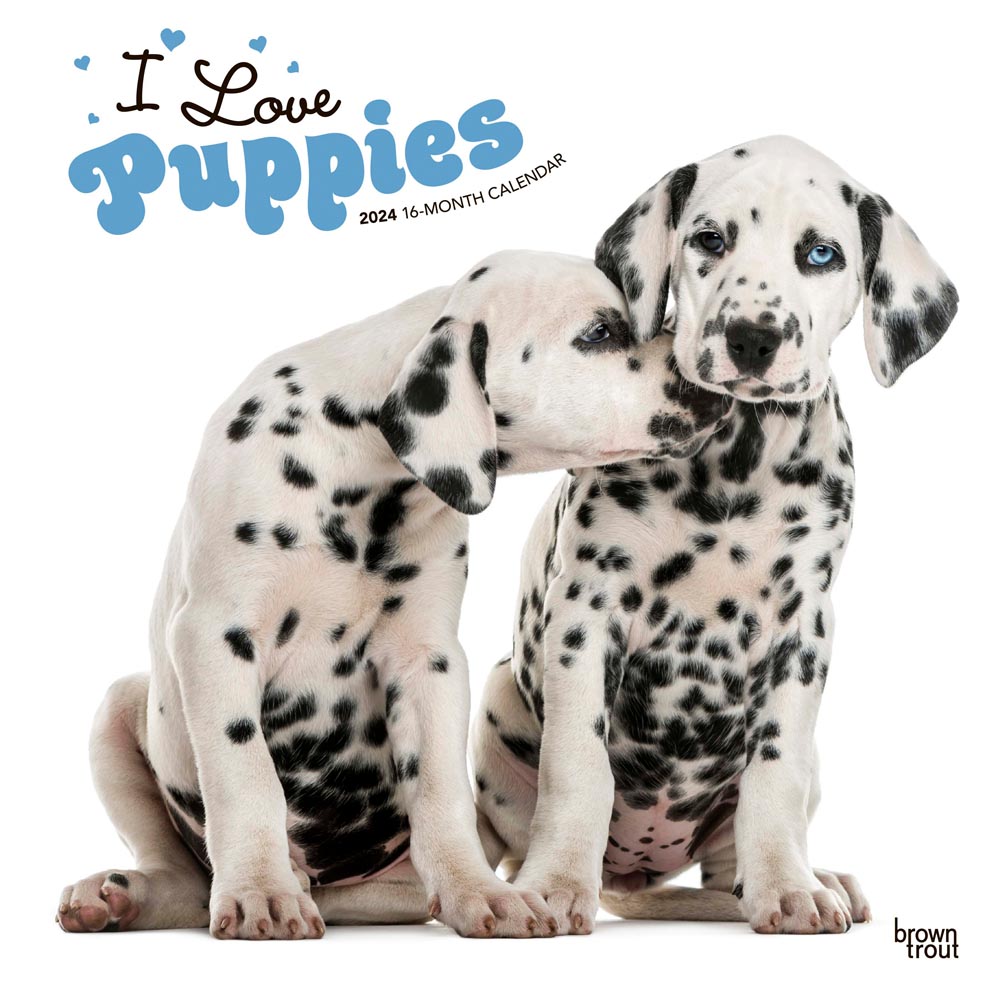 I Love Puppies | 2024 12 x 24 Inch Monthly Square Wall Calendar | BrownTrout | Animals Dog Breeds