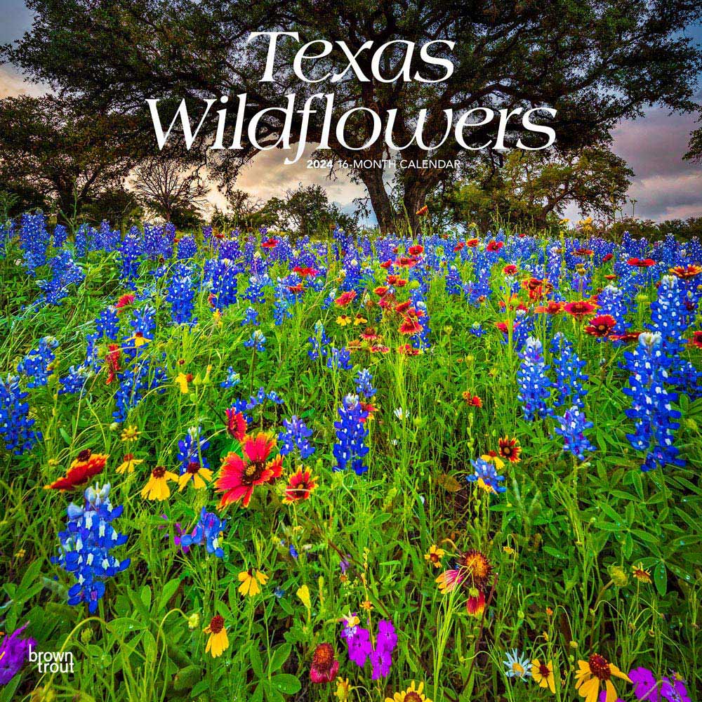 Texas Wildflowers 2024 Square Wall Calendar Full Moon Browntrout